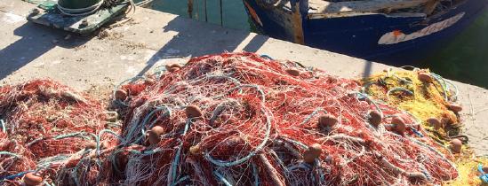 UN MILLION D’EUROS POUR LA PÊCHE CORSE