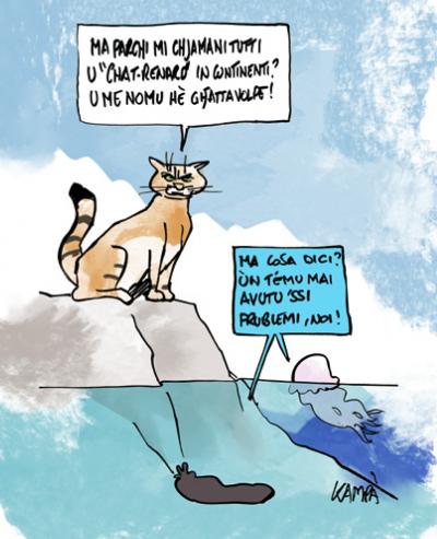 CHAT-RENARD