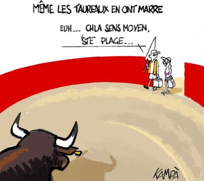 Même les taureaux en ont marre