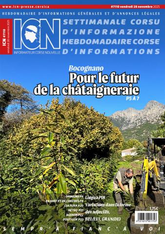 Journal #7110 du vendredi 28 novembre 2025